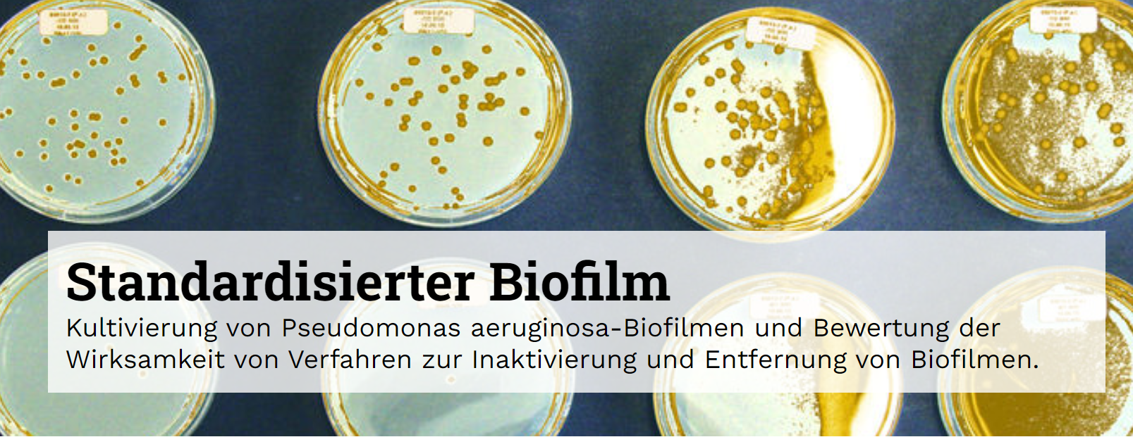 SMP GmbH – Bild 7