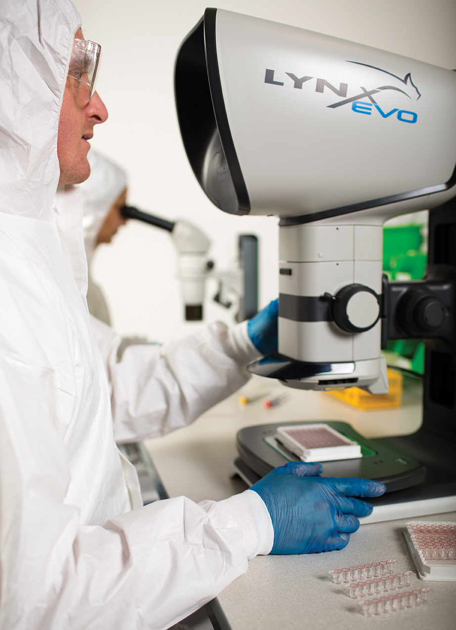 VISION ENGINEERING LTD. – Bild 6