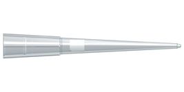 Starlab International GmbH – Bild 6
