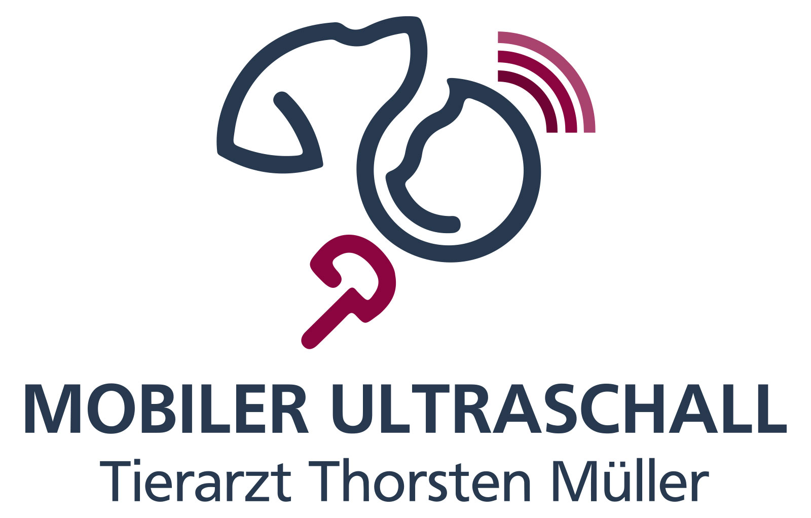 Tierarztpraxis Thorsten Müller mit Schwerpunkt mobiler Ultraschall – Bild 4