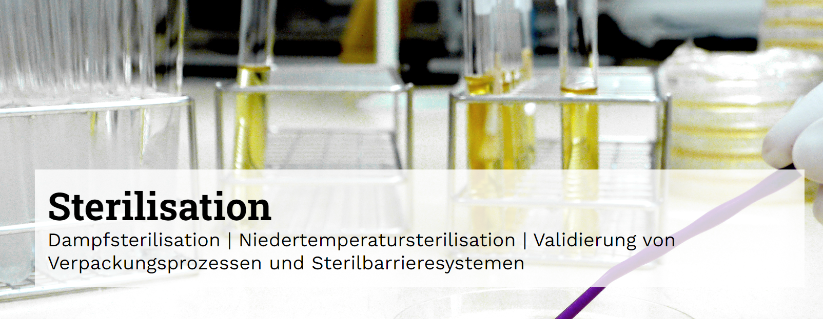SMP GmbH – Bild 6