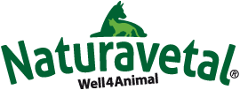 batavus e bike damen Batavus Suerte E-go Exclusive E-Bike Generalberholt verwendet E-Bike   H&B Exclusive