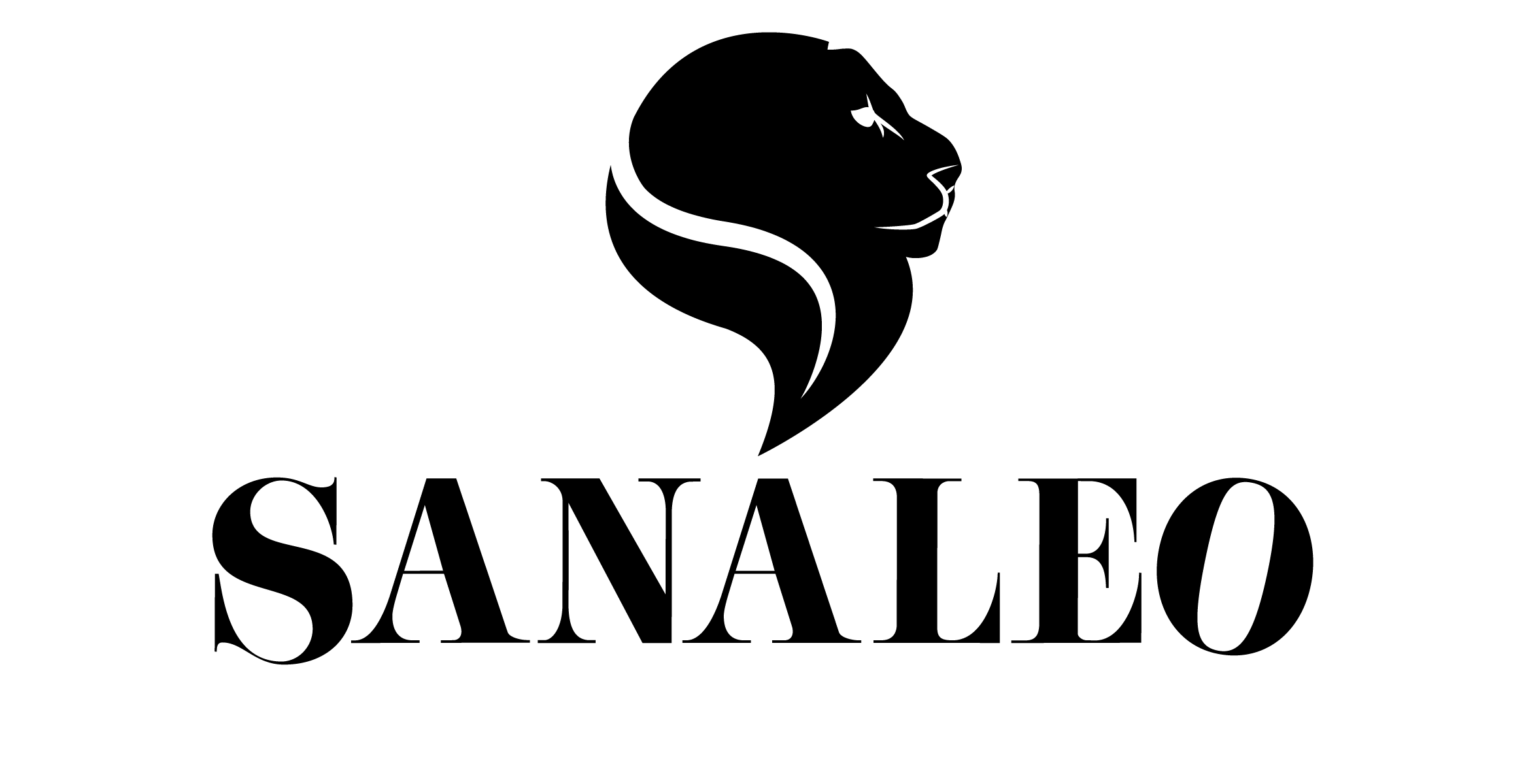 Sanaleo GmbH – Bild 6